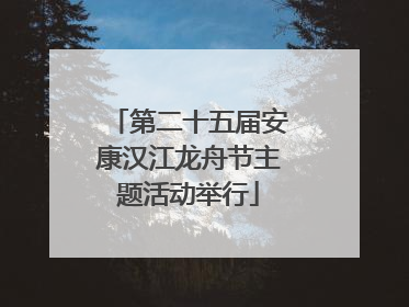 第二十五届安康汉江龙舟节主题活动举行