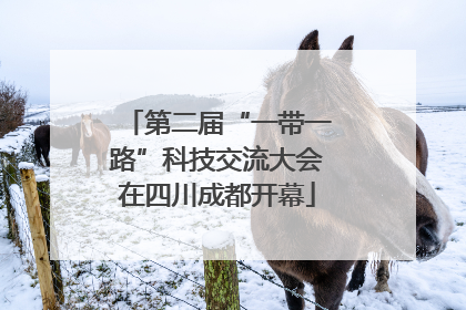 第二届“一带一路”科技交流大会在四川成都开幕