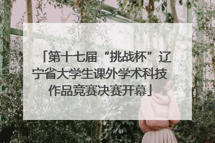 第十七届“挑战杯”辽宁省大学生课外学术科技作品竞赛决赛开幕