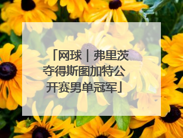 网球｜弗里茨夺得斯图加特公开赛男单冠军