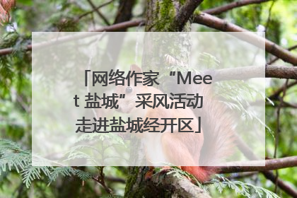 网络作家“Meet 盐城”采风活动走进盐城经开区