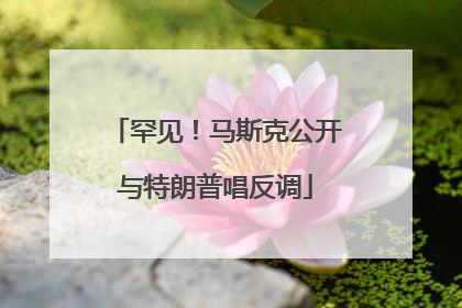 罕见！马斯克公开与特朗普唱反调