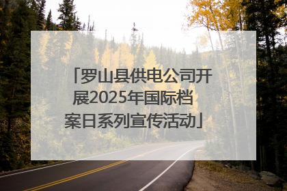 罗山县供电公司开展2025年国际档案日系列宣传活动