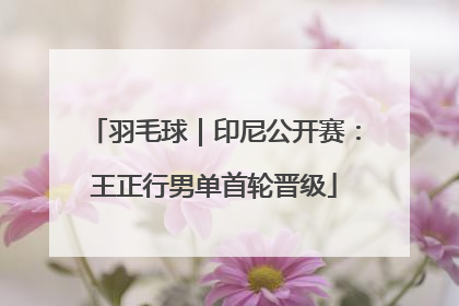 羽毛球｜印尼公开赛：王正行男单首轮晋级