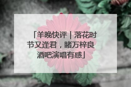 羊晚快评｜落花时节又逢君，睹万梓良酒吧演唱有感