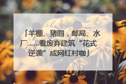 羊棚、猪圈，邮局、水厂……看废弃建筑“花式逆袭”成网红村咖