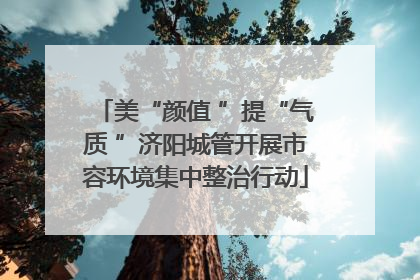 美“颜值 ”提“气质 ”济阳城管开展市容环境集中整治行动
