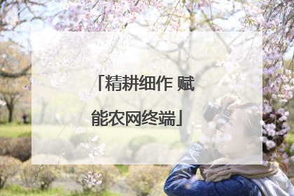精耕细作 赋能农网终端
