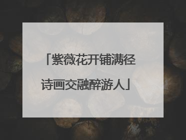 紫薇花开铺满径 诗画交融醉游人