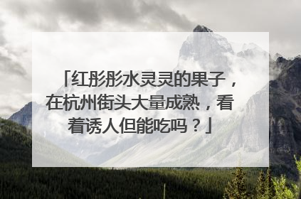 红彤彤水灵灵的果子，在杭州街头大量成熟，看着诱人但能吃吗？