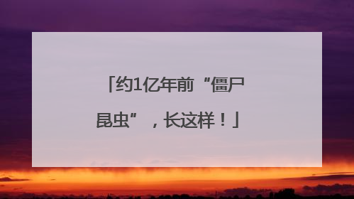 约1亿年前“僵尸昆虫”，长这样！