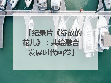 纪录片《绽放的花儿》：共绘融合发展时代画卷