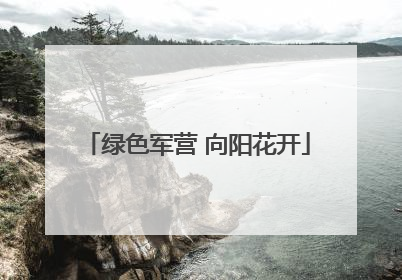 绿色军营 向阳花开