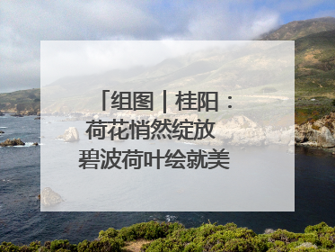 组图｜桂阳：荷花悄然绽放 碧波荷叶绘就美好夏日画卷