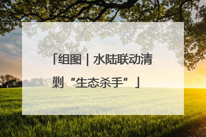 组图｜水陆联动清剿“生态杀手”