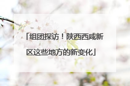 组团探访！陕西西咸新区这些地方的新变化