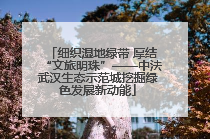 细织湿地绿带 厚结“文旅明珠”——中法武汉生态示范城挖掘绿色发展新动能