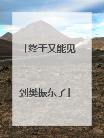 终于又能见到樊振东了
