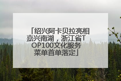 绍兴阿卡贝拉亮相嘉兴南湖，浙江省TOP100文化服务菜单首单落定