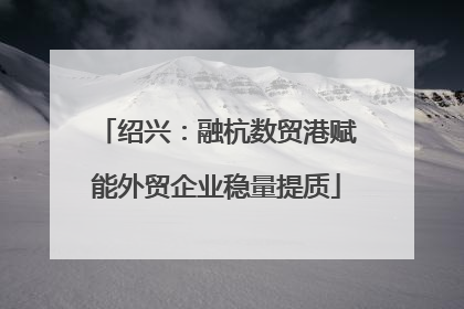 绍兴：融杭数贸港赋能外贸企业稳量提质