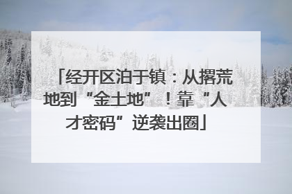 经开区泊于镇：从撂荒地到“金土地”！靠“人才密码”逆袭出圈