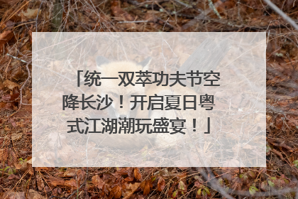 统一双萃功夫节空降长沙！开启夏日粤式江湖潮玩盛宴！