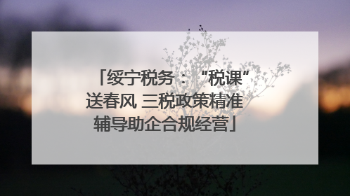 绥宁税务：“税课”送春风 三税政策精准辅导助企合规经营
