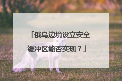 俄乌边境设立安全缓冲区能否实现？