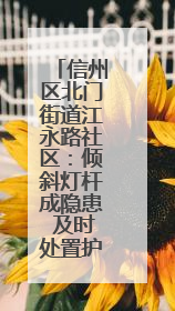 信州区北门街道江永路社区：倾斜灯杆成隐患 及时处置护平安
