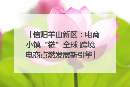 信阳羊山新区：电商小镇“链”全球 跨境电商点燃发展新引擎