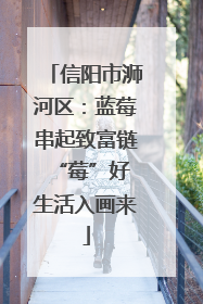 信阳市浉河区：蓝莓串起致富链 “莓”好生活入画来