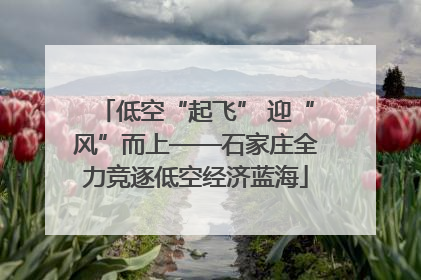 低空“起飞” 迎“风”而上——石家庄全力竞逐低空经济蓝海