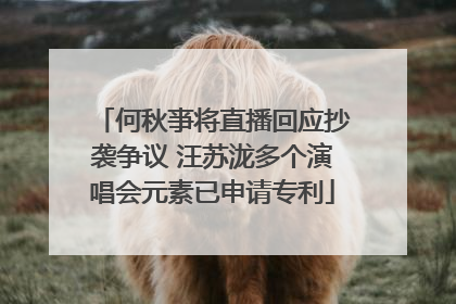 何秋亊将直播回应抄袭争议 汪苏泷多个演唱会元素已申请专利