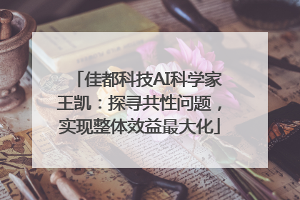 佳都科技AI科学家王凯：探寻共性问题，实现整体效益最大化