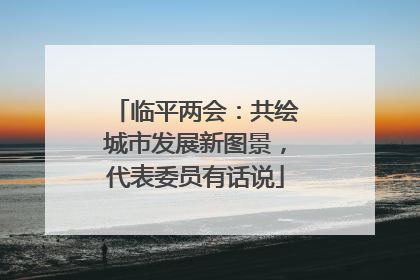 临平两会：共绘城市发展新图景，代表委员有话说