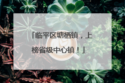 临平区塘栖镇，上榜省级中心镇！