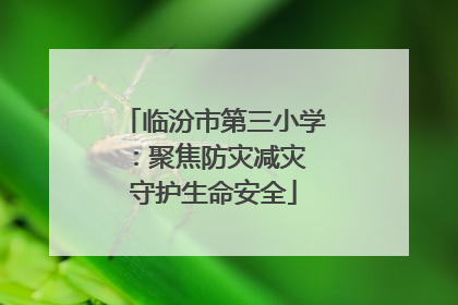 临汾市第三小学：聚焦防灾减灾 守护生命安全