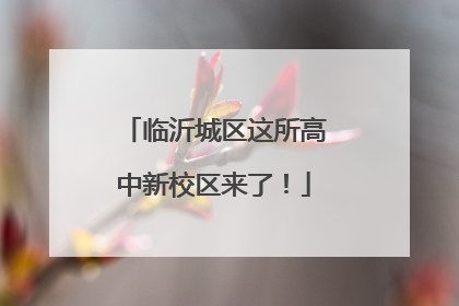 临沂城区这所高中新校区来了！