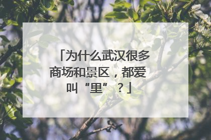 为什么武汉很多商场和景区，都爱叫“里”？