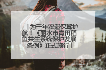 为千年农遗保驾护航！《丽水市青田稻鱼共生系统保护发展条例》正式施行