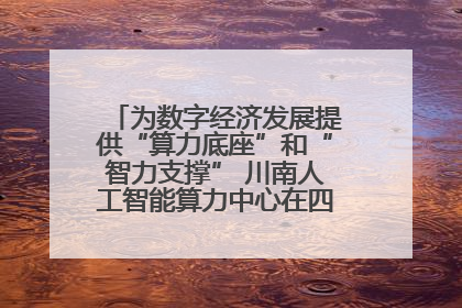 为数字经济发展提供“算力底座”和“智力支撑” 川南人工智能算力中心在四川泸州启动