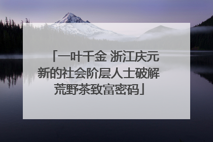 一叶千金 浙江庆元新的社会阶层人士破解荒野茶致富密码