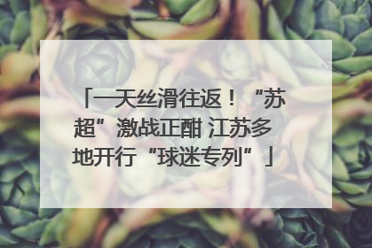 一天丝滑往返！“苏超”激战正酣 江苏多地开行“球迷专列”