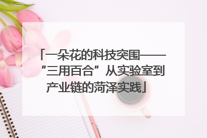 一朵花的科技突围——“三用百合”从实验室到产业链的菏泽实践