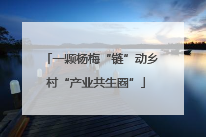 一颗杨梅“链”动乡村“产业共生圈”