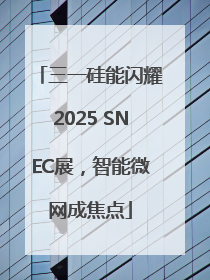 三一硅能闪耀2025 SNEC展，智能微网成焦点