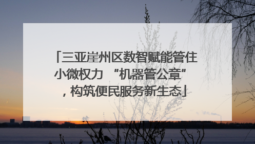 三亚崖州区数智赋能管住小微权力 “机器管公章”，构筑便民服务新生态