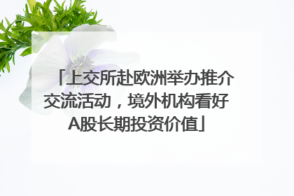 上交所赴欧洲举办推介交流活动，境外机构看好A股长期投资价值