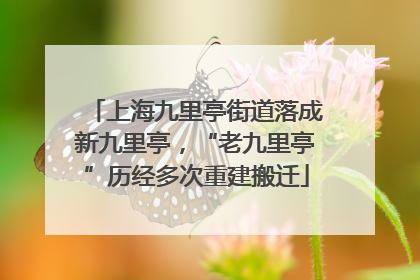 上海九里亭街道落成新九里亭，“老九里亭”历经多次重建搬迁