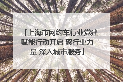 上海市网约车行业党建赋能行动开启 聚行业力量 深入城市服务
